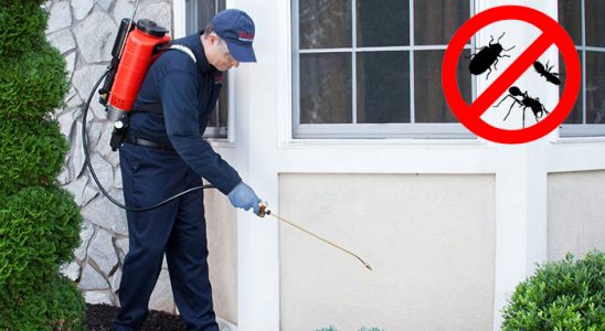 Şirinyer Bit İlaçlama böcek ilaçlama ve haşere kontrolü — ilaclama-tr.com